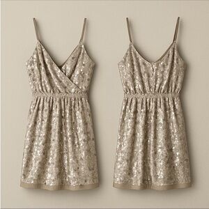Express Sequin Dress for Sale up to 90% Off: Poshmark